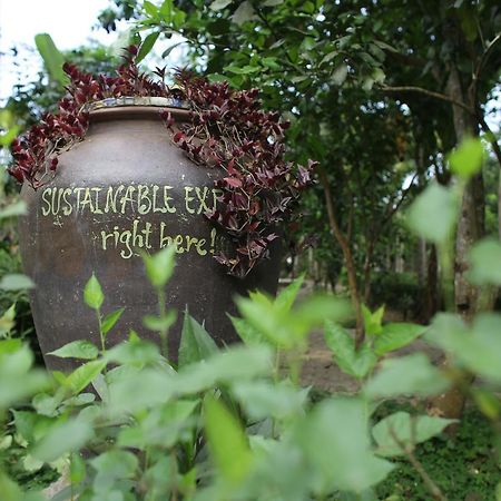 Thuy Bieu Homestay 후에 외부 사진