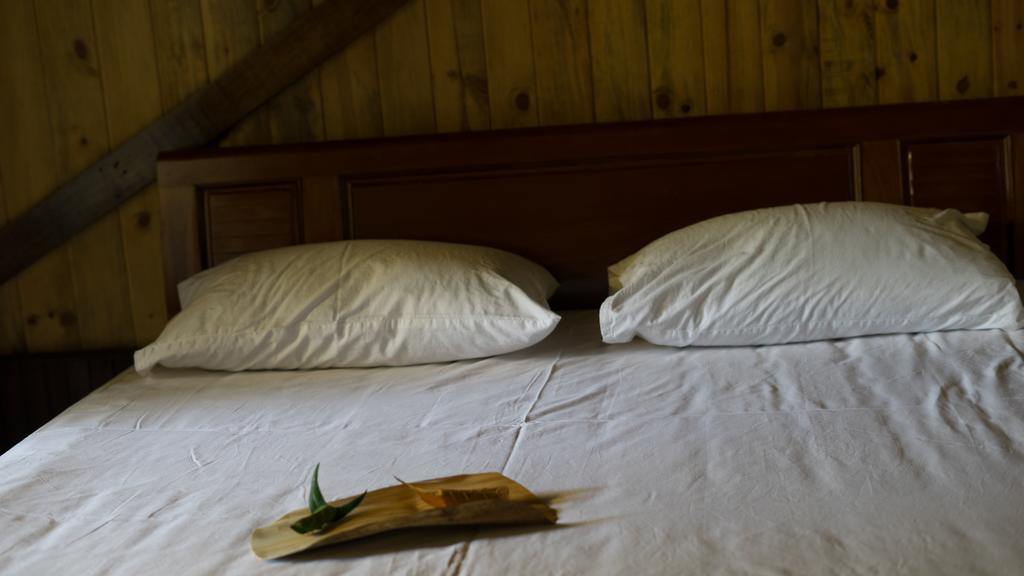 Thuy Bieu Homestay 후에 외부 사진