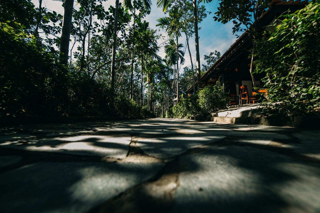 Thuy Bieu Homestay 후에 객실 사진