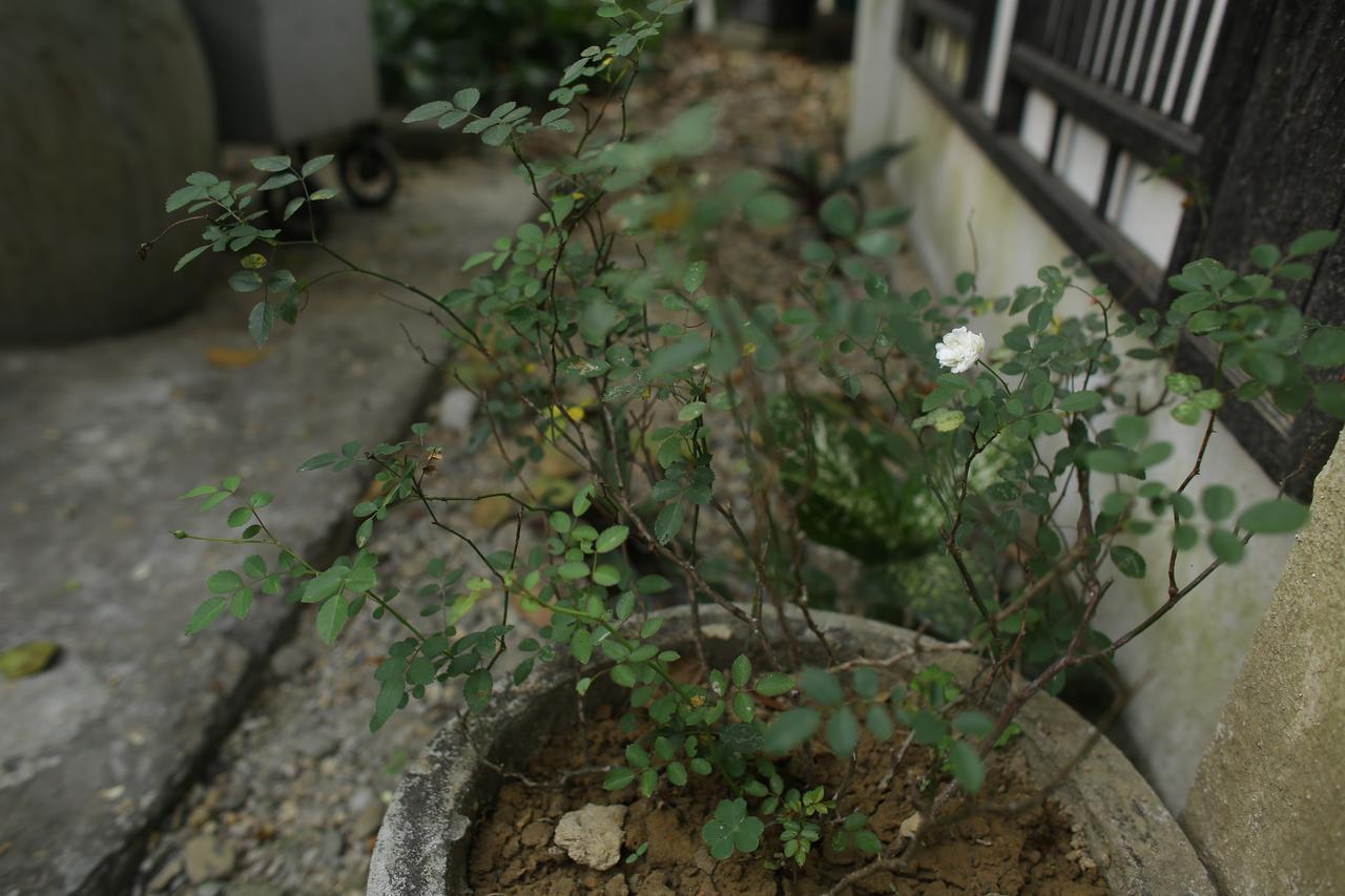 Thuy Bieu Homestay 후에 외부 사진