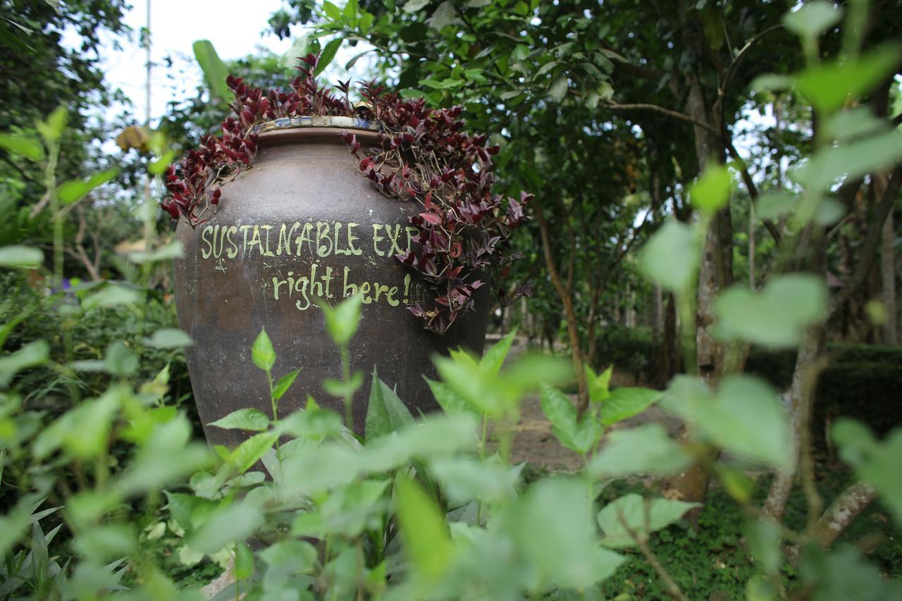 Thuy Bieu Homestay 후에 외부 사진
