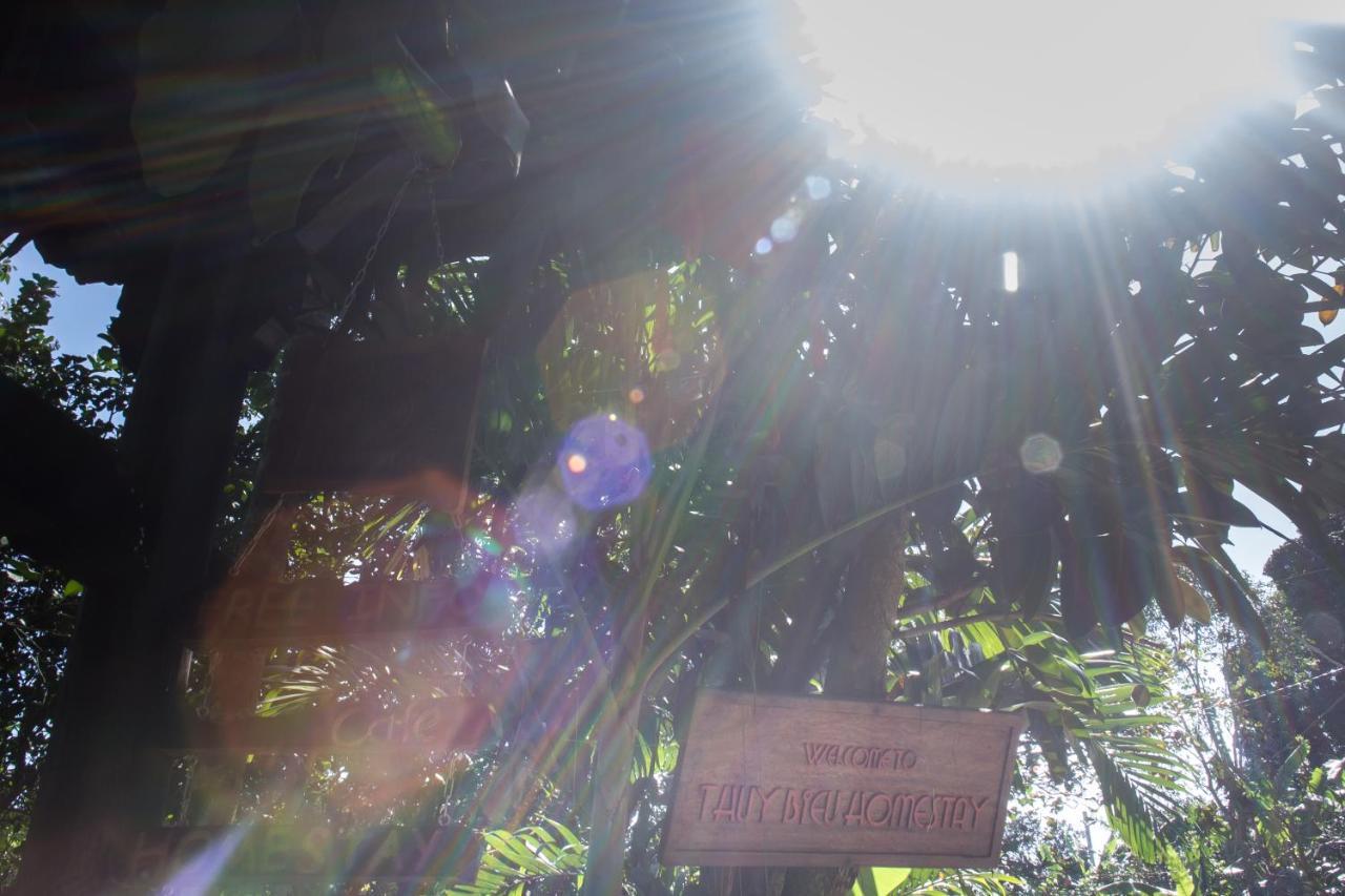 Thuy Bieu Homestay 후에 객실 사진